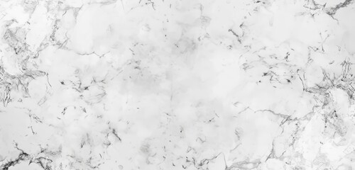 Obraz premium Tranquil Elegance - Light Platinum Marble Texture Background with Subtle White and Gray Veining