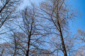 大学の卒業式の風景
