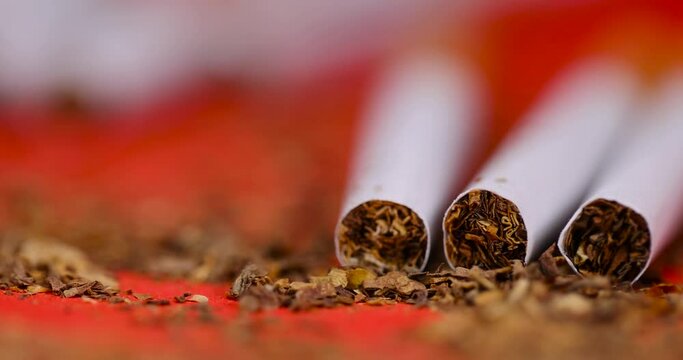 finely crushed tobacco leaf that is used in the manufacture of cigarettes, dangerous to health tobacco leaves for smoking in a cigarette