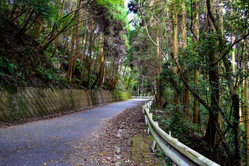 熊本県八代市・竜峰山の風景