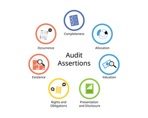 7 audit assertions for Completeness, Occurrence, Valuation, allocation, Rights and obligations, Existence