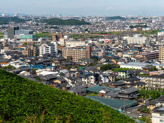 柏原市高尾山の葡萄畑と街の風景
