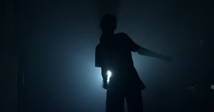 Shadow dancer video of a woman dancing in silhouette.
