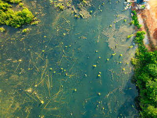 Aerial view top down Drone view over swamp or lake,Amazing nature view in the morning at Klong root...