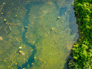 Aerial view top down Drone view over swamp or lake,Amazing nature view in the morning at Klong root lake Krabi Thailand