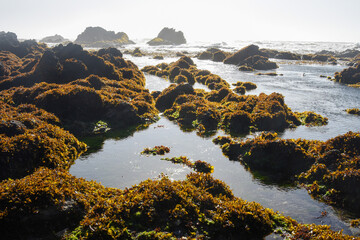Boyeruca beach, beauty of a lost town in the Maule region, Chile