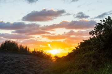 Sunset in Piha, beautiful sunset over a coastal landscape with golden light illuminating the clouds and grasses, creating a serene atmosphere