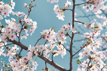 여름이 다가온다