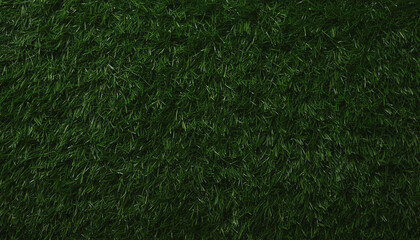 Seamless dark green grass texture