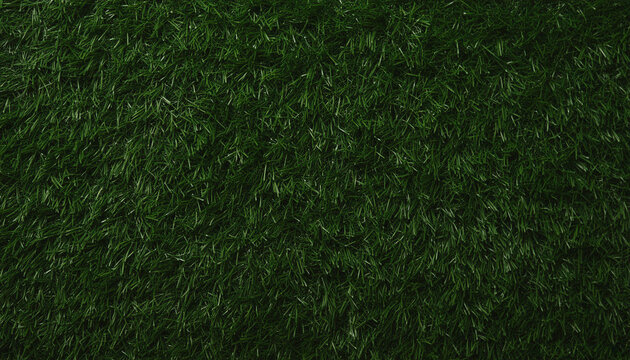 Seamless dark green grass texture