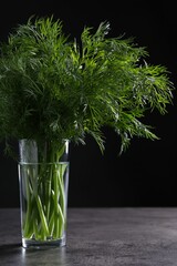 Fresh dill in glass on grey textured table against black background, closeup
