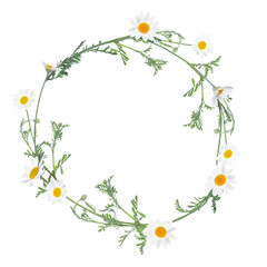 Wreath of beautiful wild flowers isolated on white