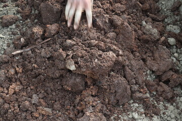 Preparing a ground nursery Bed for crops on farm