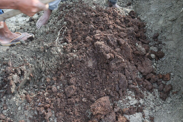 Preparing a ground nursery Bed for crops on farm