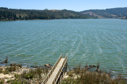 Laguna Torca, Vichuqu&eacute;n, Maule, Chile