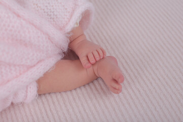 baby feet newborn in a pink blanket 