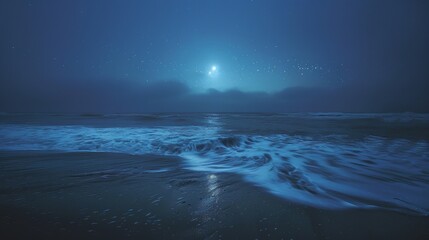 Standing on the shore it appears as though the stars have fallen from the sky and landed in the ocean causing the bioluminescent waves.