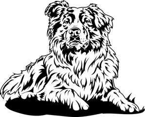 large dog