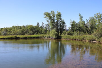 trees reflected in a calm lake under blue skies