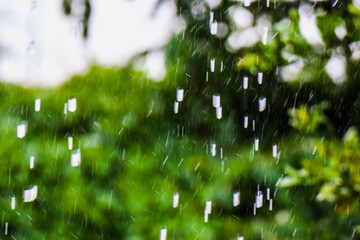 rain in nature