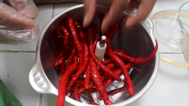 The process of grinding red pepper uses a blender machine to make cooking spices. Capsium annuum L