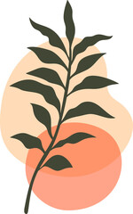 Floral abstract boho leaf and plant shape