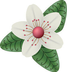 White flower with leaves