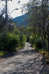 Camino cordillerano, Chile, Caj&oacute;n del Maipo