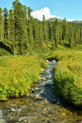 A small stormy river flows through a clearing of tall grass towards a dense coniferous forest in...