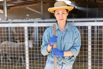 Portrait of a focused asian woman farmer standing at livestock farm near alpaca pens