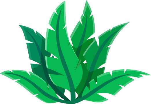 Jungle plant, dinosaur era prehistoric foliage