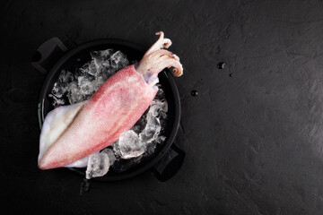 fresh raw squid natural seafood Raw squid on a black plate with ice Top view and copy space for...
