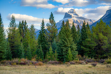 Bow Valley Parkway