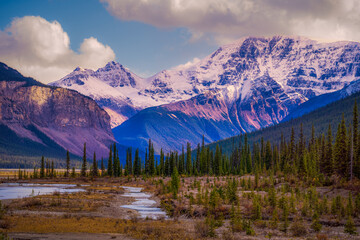 Sunny Day Icefield Parkway