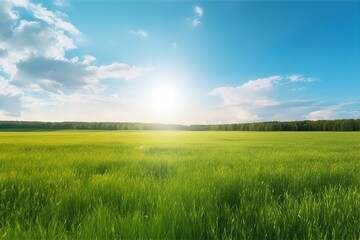 Fototapeta premium landscape, nature, panoramic, green, grass, field, scenery, outdoors, meadow, countryside, lush, horizon, sky, sunny, idyllic