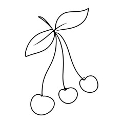 Continuous line drawing fruit of cherry berries. Vector illustration.