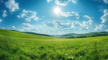 Obraz premium Sunny Day on Rolling Green Meadow