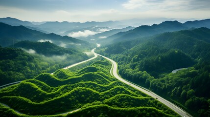 Aerial perspective of dense green forest with a winding highway road, symbolizing carbon neutrality and net zero emissions