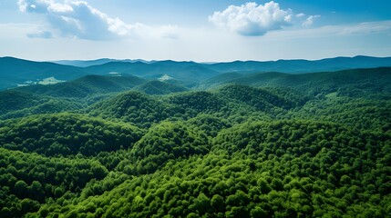 Aerial view of dense green forest, captured by drone, showcasing CO2 absorption, nature background promoting carbon neutrality and net zero emissions, sustainable green environment concept