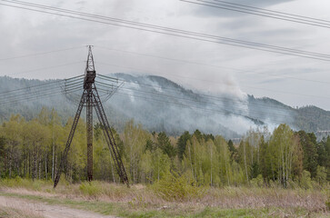 Forest that just started to catch fire and that it is highly probable that it could not have been put out