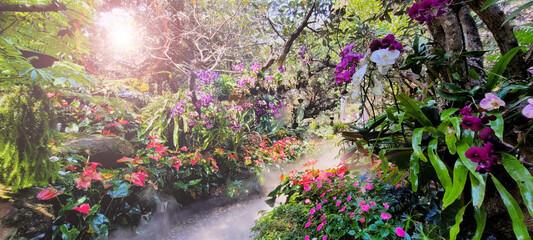 Fairy tale garden