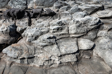 Closeup of light gray lava rock at Makalua-Puna Point, Maui, Hawaii, as a textured nature background
