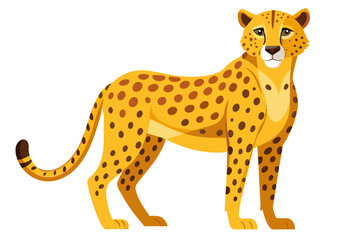 cheetah on white background vector illustration © Nayon Chandro Barmon