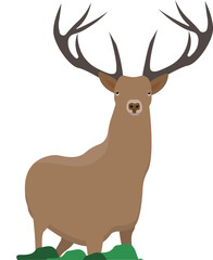 a brown reindeer on the grass