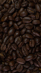 Granos de café premium 