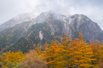 Kamikochi mountian with snow on the top and autumn leaves