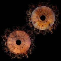 iris