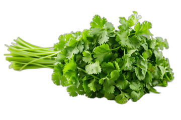 Fototapeta premium coriander on transparent background, the concept of Food ingredients, vegetable, cooking, organic, healthy, fresh