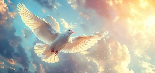 World peace concept with dove bird, White dove in the sky, Peaceful background, Unity and harmony symbol