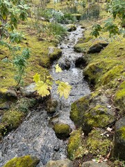 小川のせせらぎ